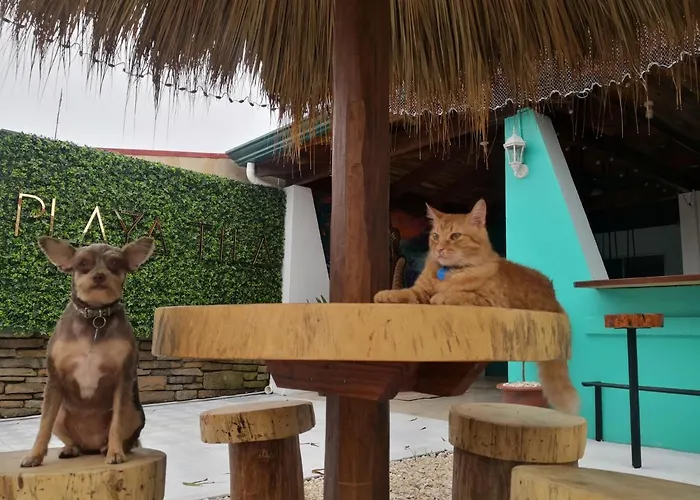 Playa Tila & Restaurant
